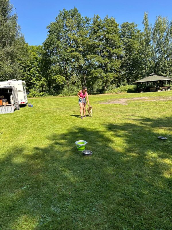 IMG-20260712-WA0002