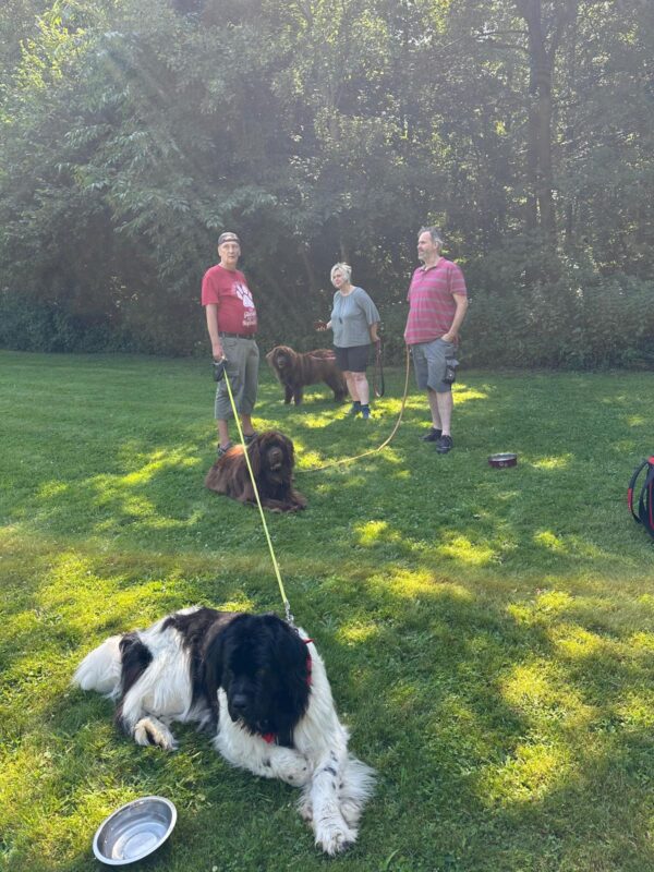 IMG-20260712-WA0003