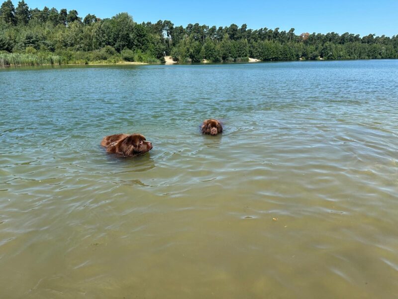 IMG-20260712-WA0012