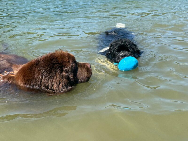 IMG-20260712-WA0016