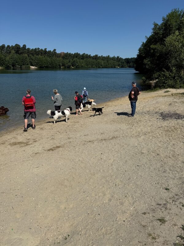 IMG-20260712-WA0071