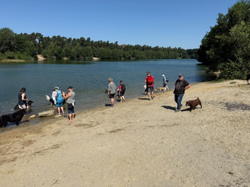 IMG-20260712-WA0073