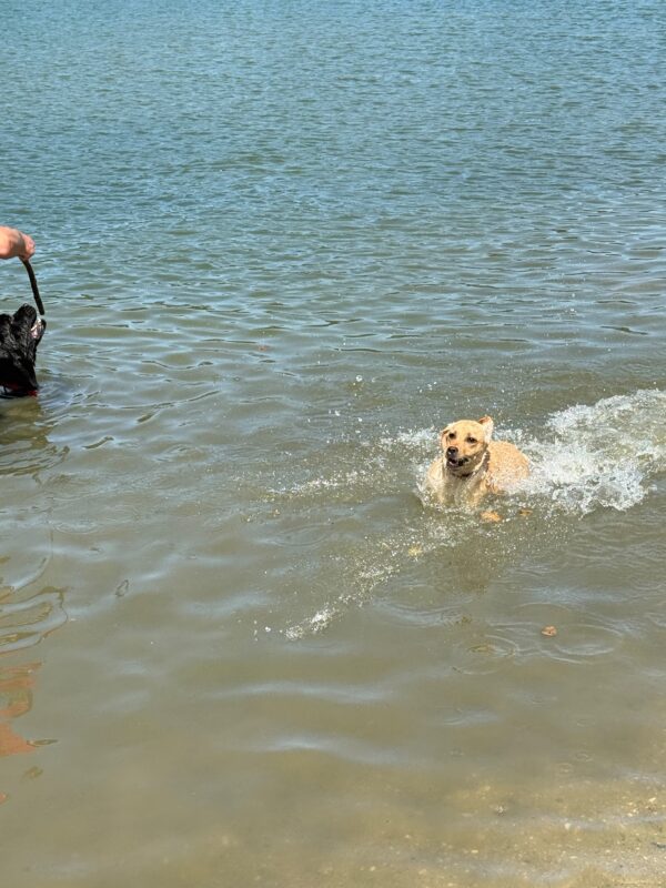 IMG-20260712-WA0087