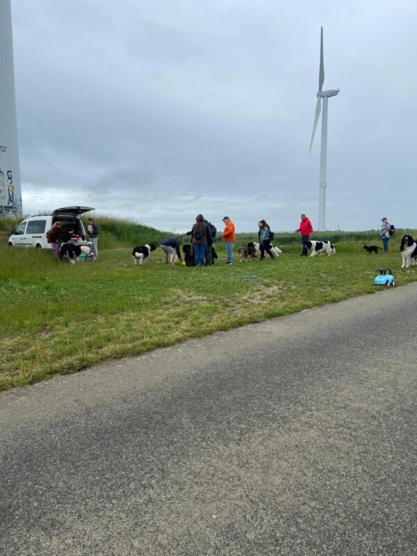 IMG-20260607-WA0014