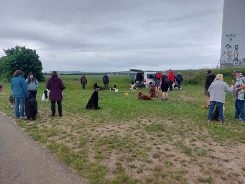 IMG-20260607-WA0051