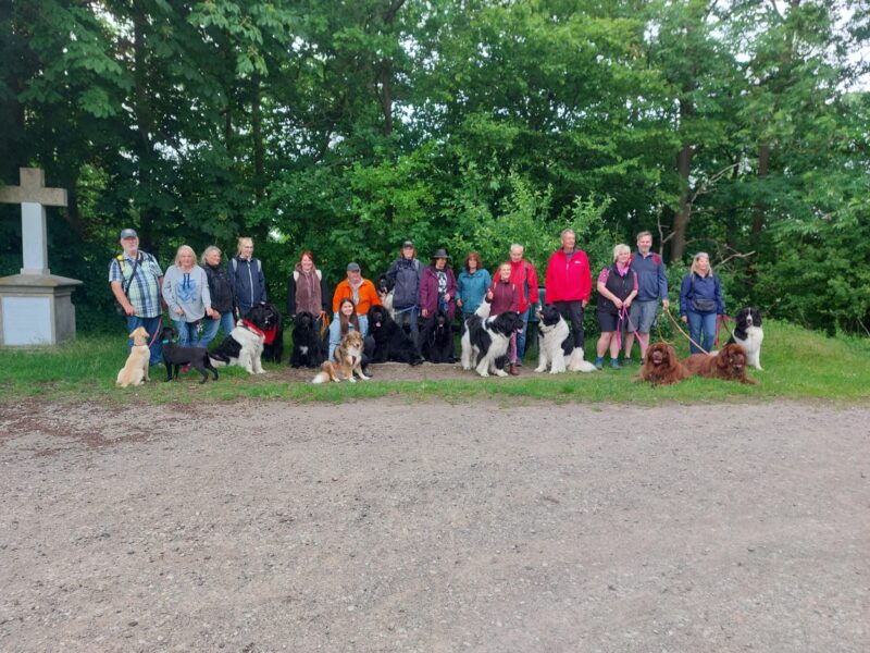 IMG-20260607-WA0056
